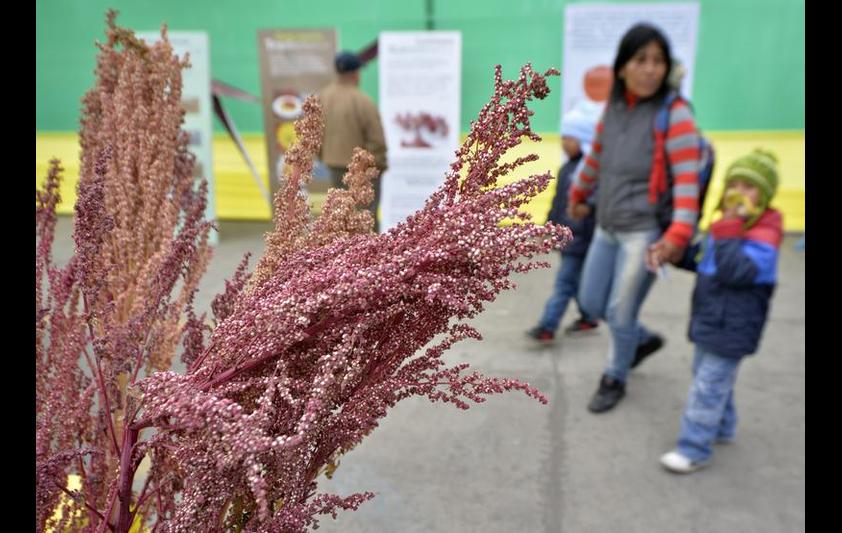 Quinoa at a market in Lima, Peru, on June 24, 2013CRIS . BOURONCLE/AFP/Getty Images