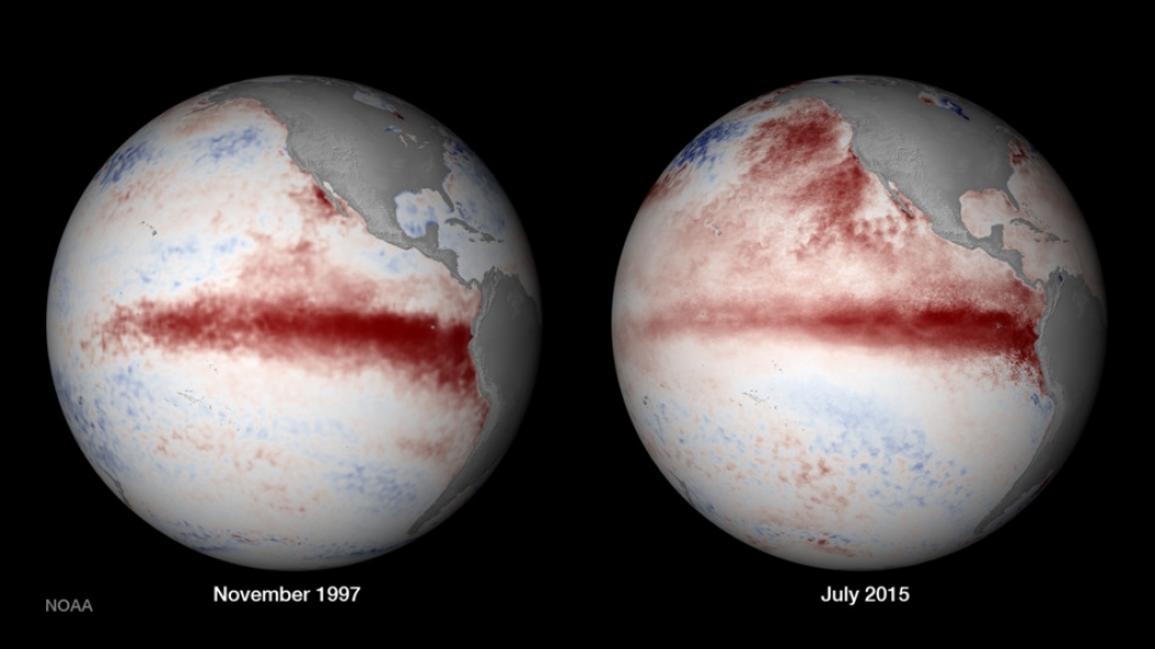 A comparison of sea surface temperatures between the current El Niño in July 2015 and the last one, in November 1997. Credit: NOAA