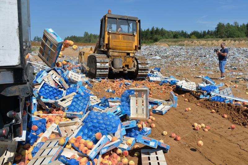 A worker uses a bulldozer to crush crates of peaches outside the city of Novozybkov, about 600 km from Moscow, on August 7, 2015. Getty Images