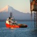 Pohokura oil field, Taranaki, New Zealand. (Source: rob tucker/flickr)