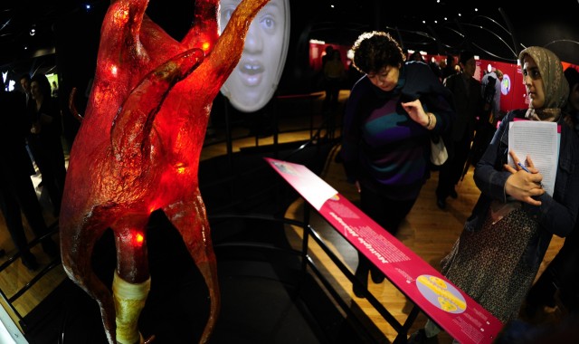 People look at a giant neuron while attending a preview of "Brain: The inside story" exhibition at the American Museum of Natural History in New York. AFP/ Getty/ Emmanuel Dunand