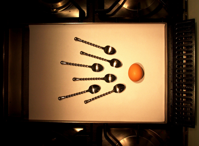 (Source: Sexy Eggs/flickr)