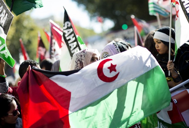 Activists for the independence of the Western Sahara wave flags and banners during an annual protest organised by the state coordinator of associations of solidarity with the Sahara in Madrid on November 9, 2024 marking the 38th anniversary of the tripartite Madrid agreements demonstrators deem illegal.