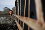 A man walks past an abandoned army bridge that was targeted by metal robbers, at the village of Adendro, in northern Greece.
