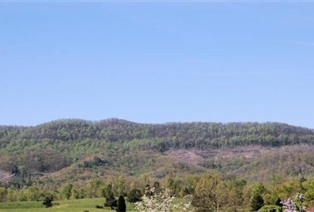 Wilson Mountain in the Cumberland Forest, a state-owned research area used by the University of Tennessee, undated Wilson Mountain in the Cumberland Forest, a state-owned research area used by the University of Tennessee, undated