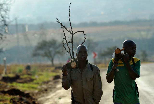 South African mine workers walk home with fire wood in Carletonville on September 3, 2013. Tens of thousands of gold miners are set to go on strike today after wage talks broke down, threatening to cost millions of dollars in lost output in the troubled sector. South African mine workers walk home with fire wood in Carletonville on September 3, 2013. Tens of thousands of gold miners are set to go on strike today after wage talks broke down, threatening to cost millions of dollars in lost output in the troubled sector.