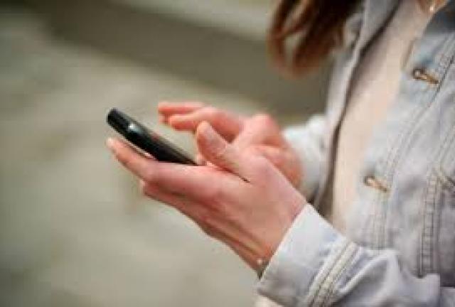 The popular game for mobile devices was removed from online stores on Sunday by its Vietnamese creator, who said its fame "ruins my simple life". The popular game for mobile devices was removed from online stores on Sunday by its Vietnamese creator, who said its fame "ruins my simple life".