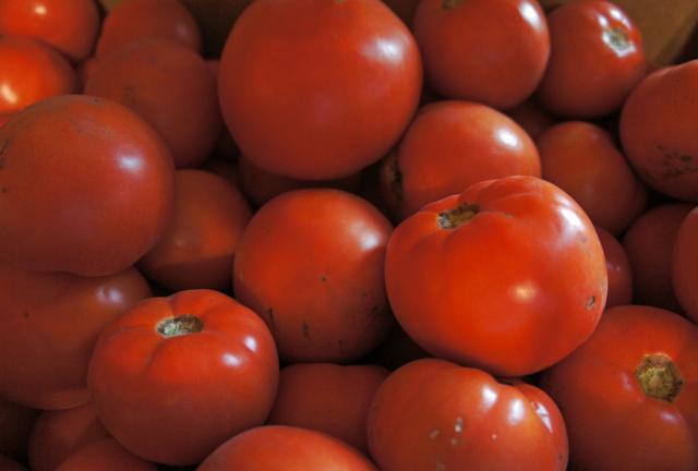 Bushel of tomatoes.