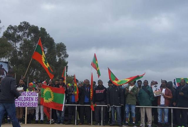 Oromo protests in 2014