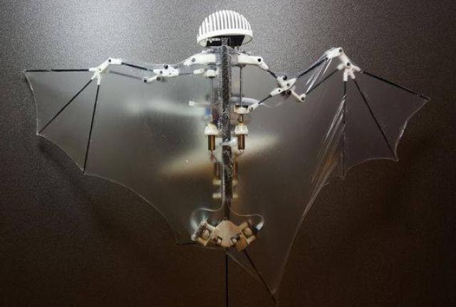 Bat Bot can fly, turn and swoop like its real-life counterpart.