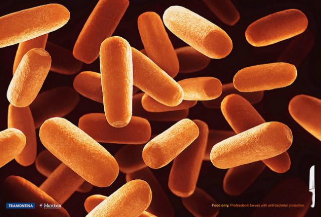 (Source: brett jordan/flickr) (Source: brett jordan/flickr)