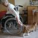Eleanora Mende, 84, who lost the use of her legs and requires care, strokes the tail of Mogli during the cat's weekly visit at the Lutherstift senior care facility on August 6, 2024 in Berlin, Germany.